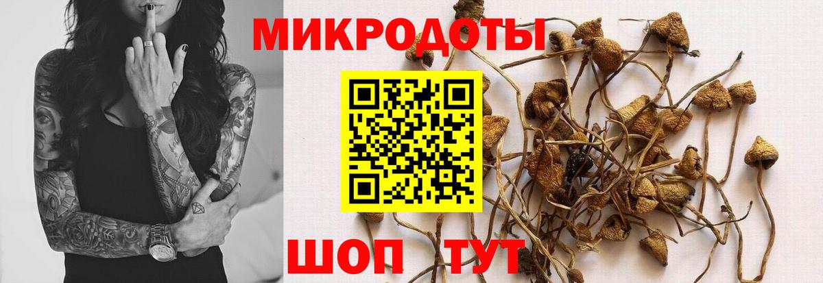 Псилоцибиновые грибы Psilocybine cubensis Сергиев Посад